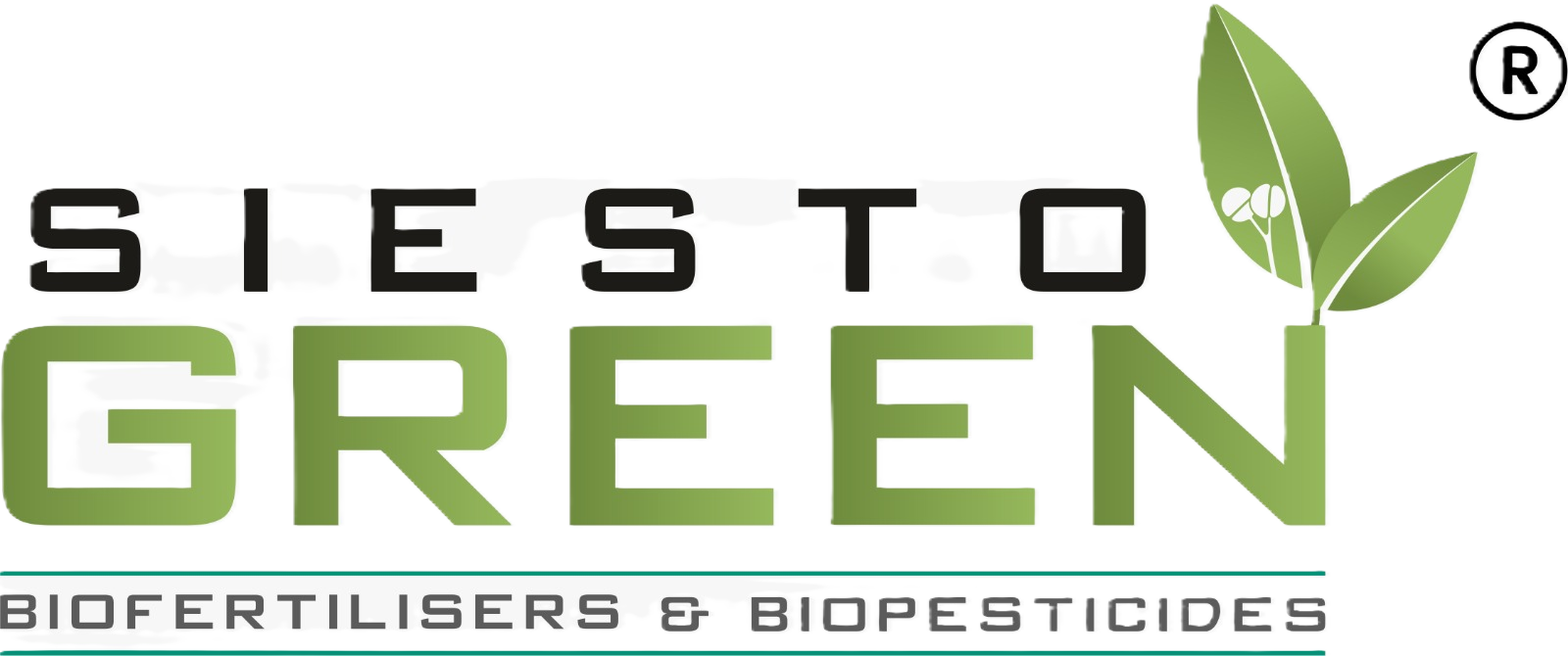 SIESTO SYSTEMS PRIVATE LIMITED